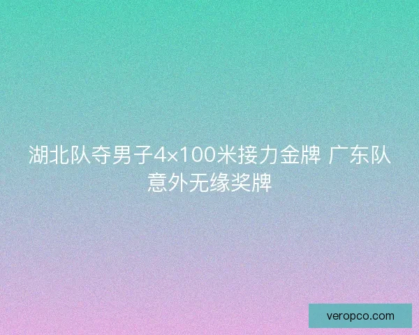 湖北队夺男子4×100米接力金牌 广东队意外无缘奖牌