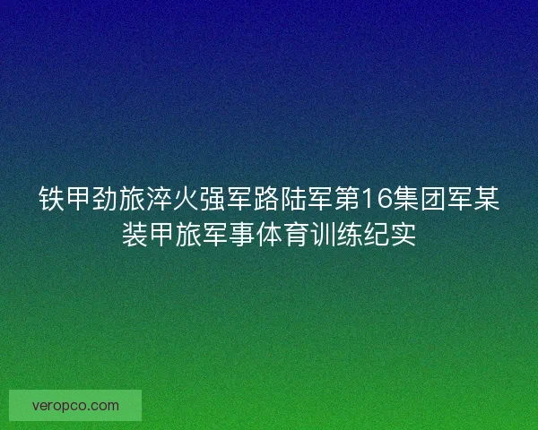 铁甲劲旅淬火强军路陆军第16集团军某装甲旅军事体育训练纪实